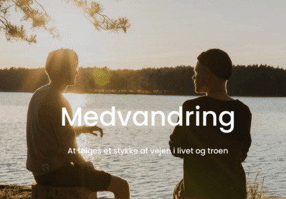 Medvandring